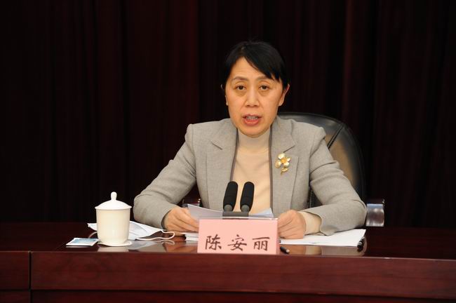 2、省委常委、组织部部长陈安丽作有关人选情况的说明.JPG