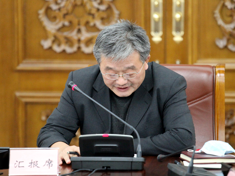 3、经济委员会主任王幼平作调研报告起草说明.JPG